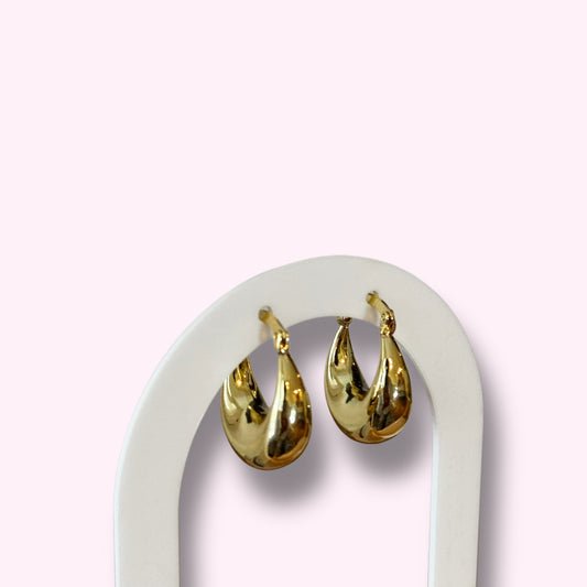 Dangling Earrings
