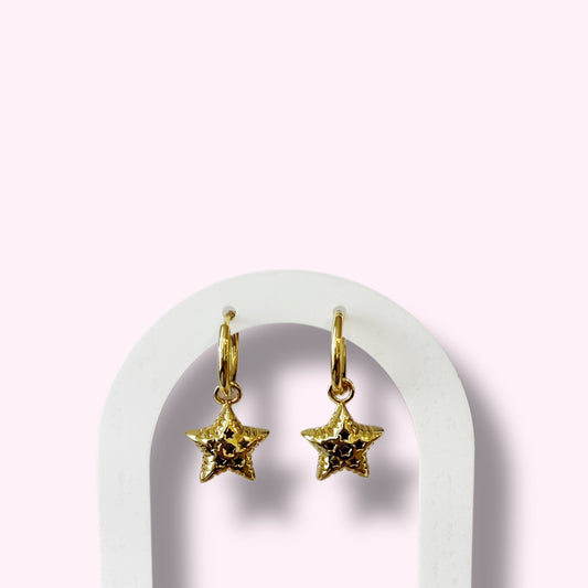 Star Earring