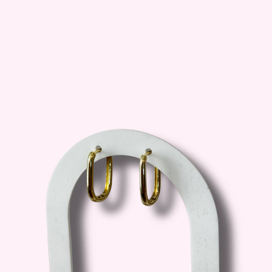 Hoops Earring